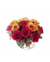 Sundance Premium Rose Bouquet